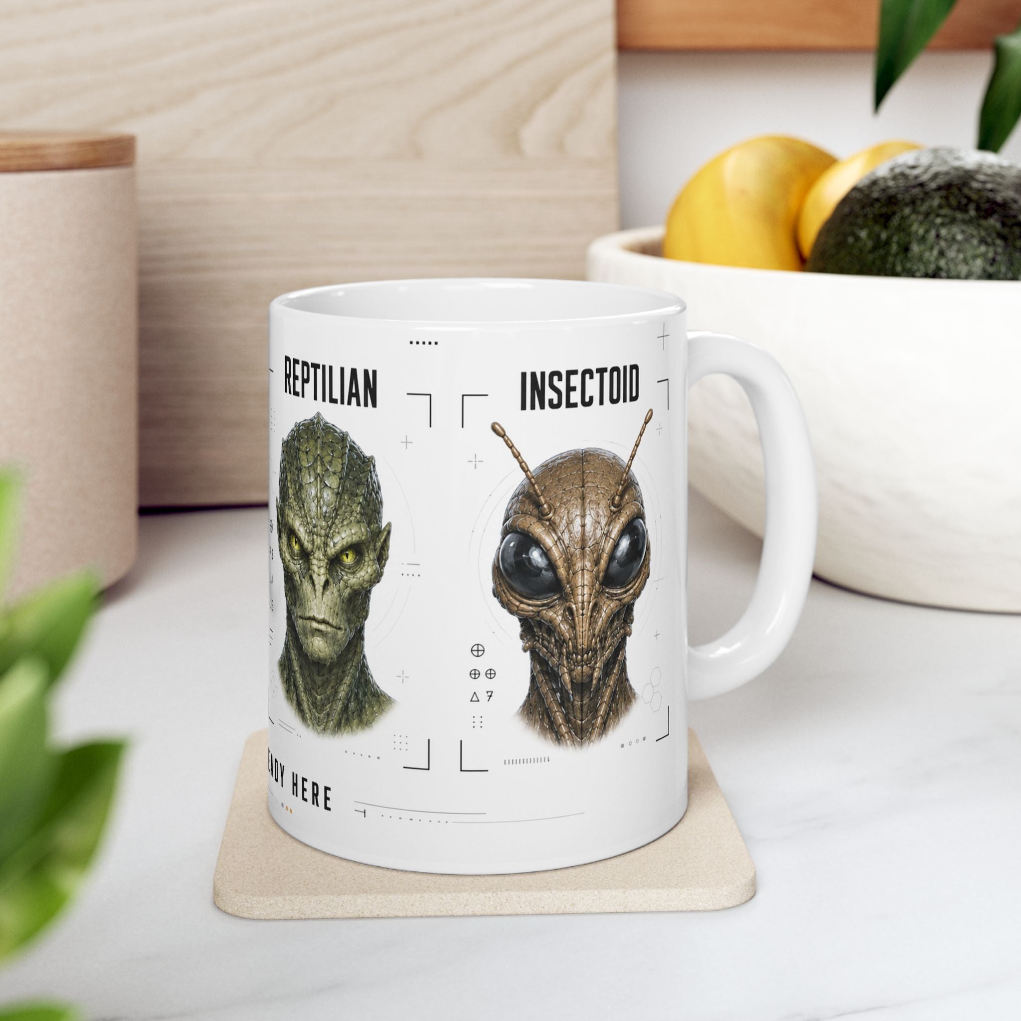 Alien Species - Nordic, Grey, Reptilian, Insectoid - Ceramic Mug - 11oz